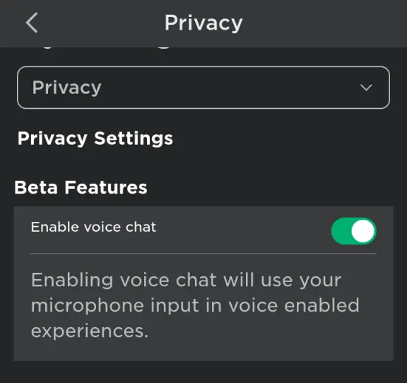 Cara Aktifkan Mic di Roblox di Setting Roblox