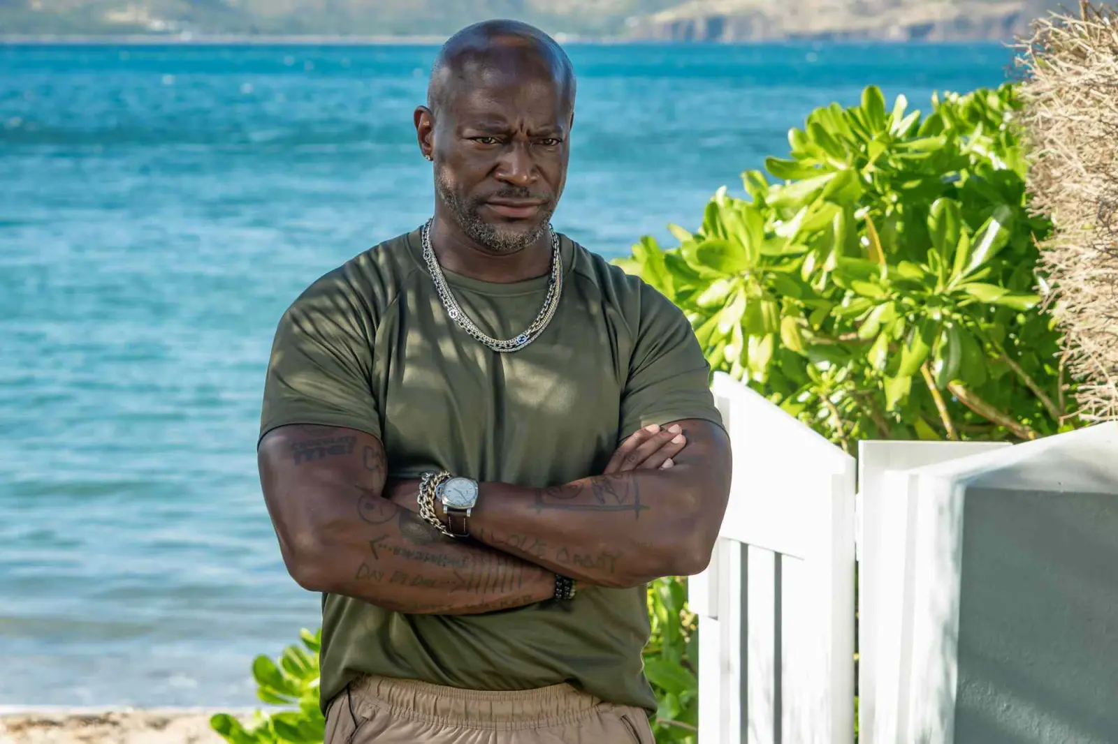 Pemeran dan Kolaborasi dengan Terry McMillan